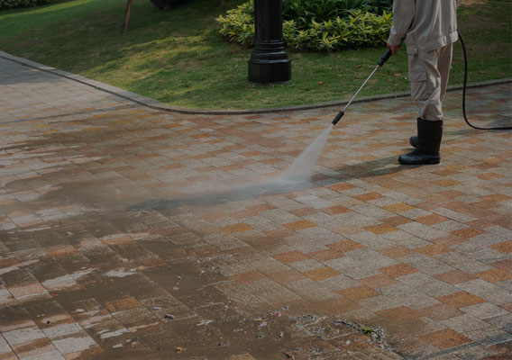 941Softwashing & Pressure Washing Service