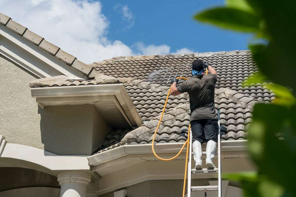 941Softwashing & Pressure Washing Service