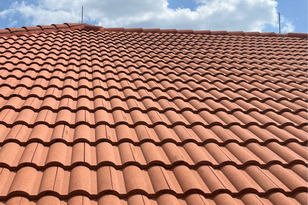 941Softwashing & Pressure Washing Service